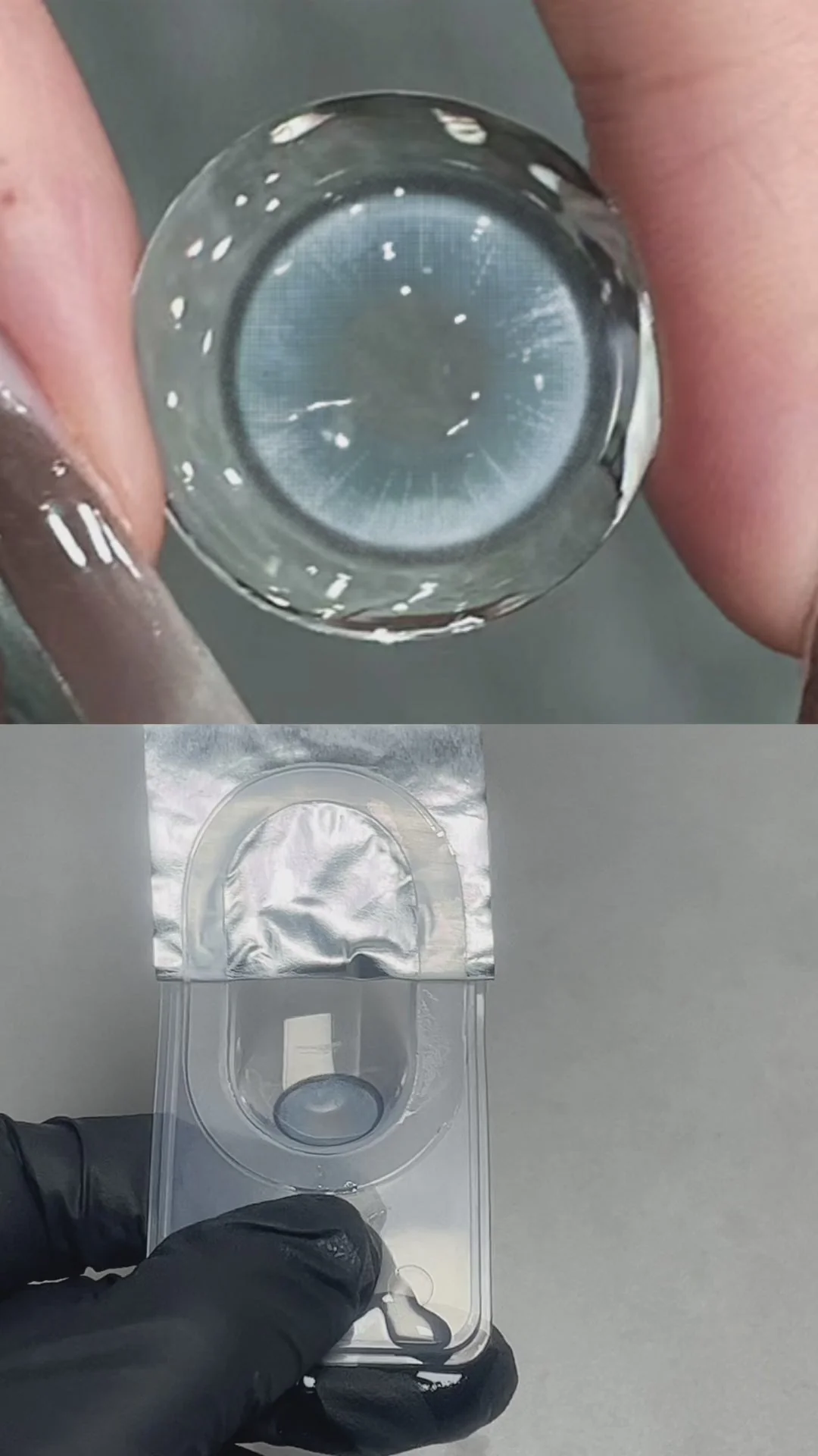 Boston Blue 14.2mm 1 Pair | 1 Year