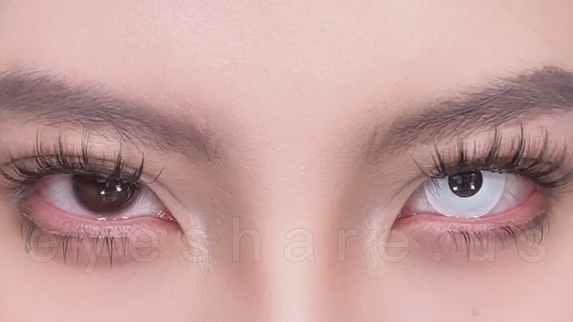 🎁 Cosplay Pure White 14.5mm 1 Pair | 1 Year (100% off)