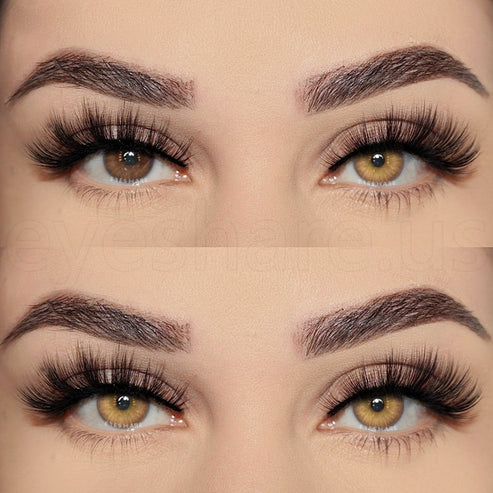 🎁 Estonia Brown 14.5mm 1 Pair | 1 Year (100% off)