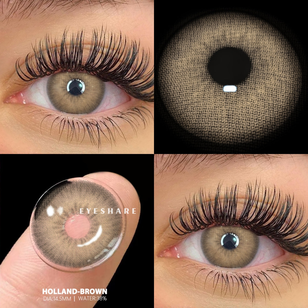 🎁 Holland Brown 14.5mm 1 Pair | 1 Year (100% off)