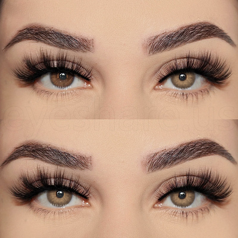 🎁 Pattaya Brown 14.2mm 1 Pair | 1 Year (100% off)