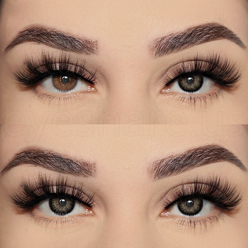 🎁 Pattaya Black 14.2mm 1 Pair | 1 Year (100% off)