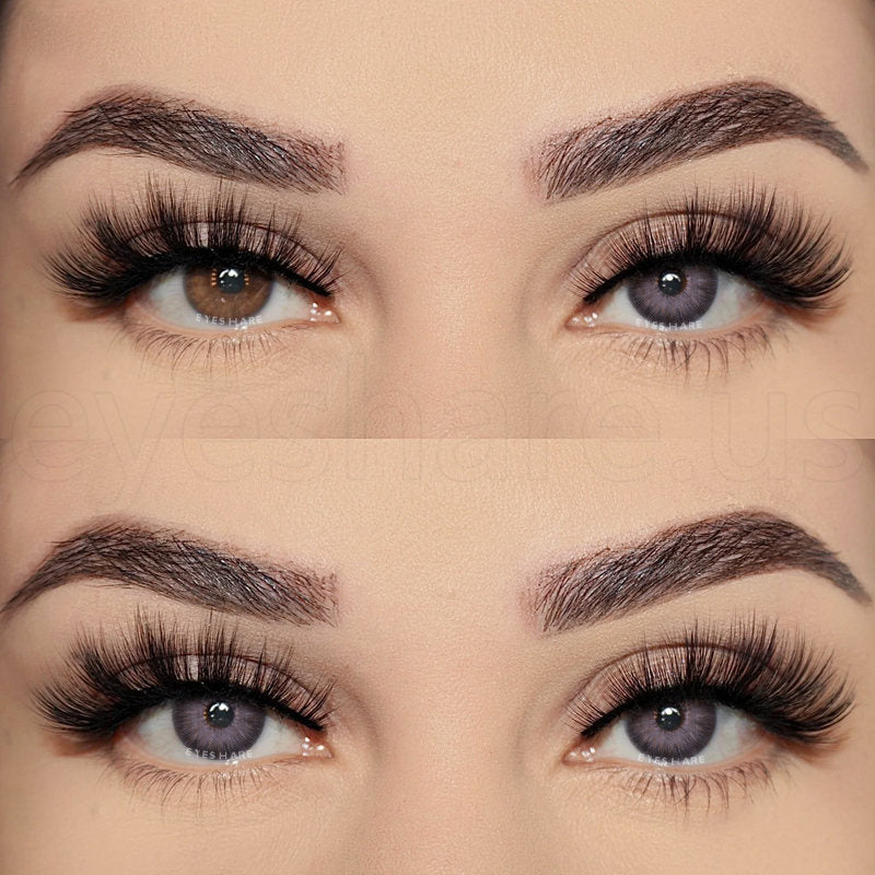 🎁 Pattaya Purple 14.2mm 1 Pair | 1 Year (100% off)