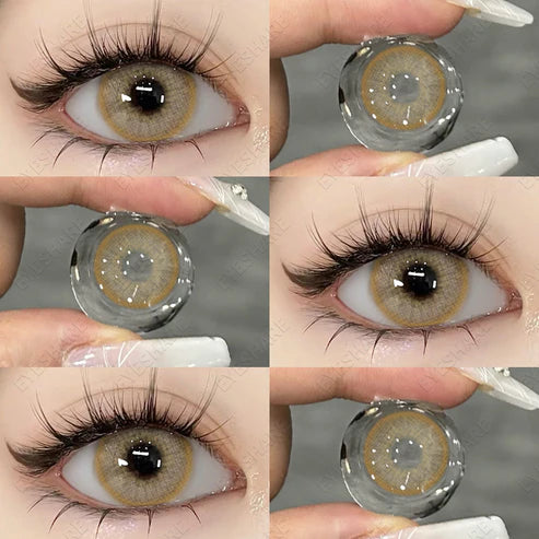Siam Brown 14.2mm 1 Pair | 1 Year